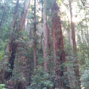 Meet your Posher, Joh-ann